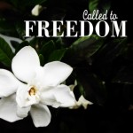 Freedom Calls Me