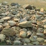 SANY0515_thumb.jpg