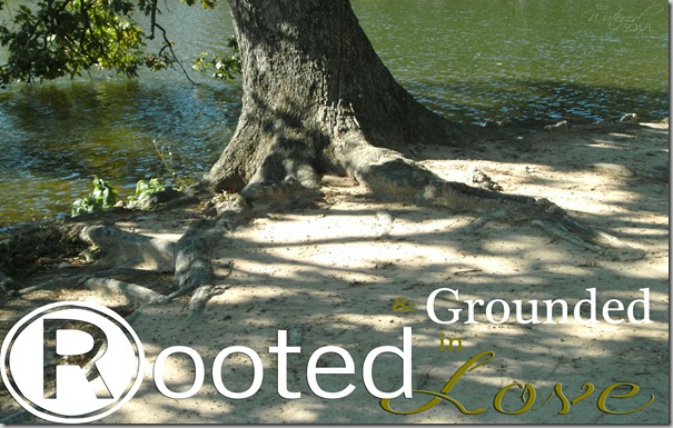 rooted and grounded in love      